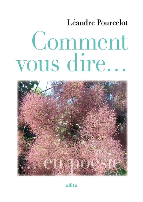Comment vous dire… en poésie