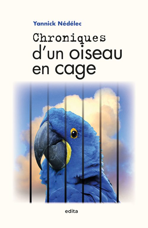 Un perroquet bleu derrière les barreaux