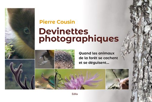 Plusieurs photos de nature où on il faut chercher l'animal caché