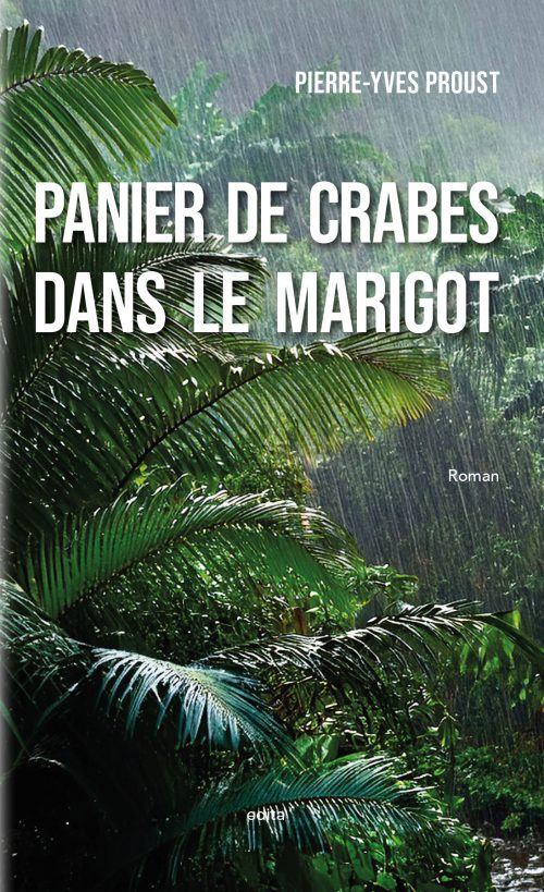 Photo de la végétation sous une pluie tropicale